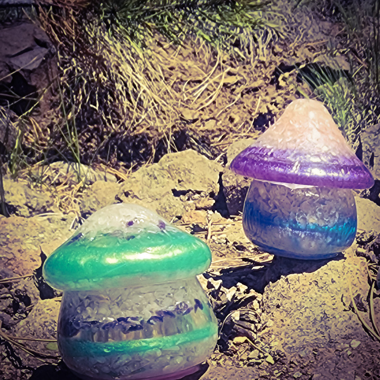 Resin Mushroom Container- Customs
