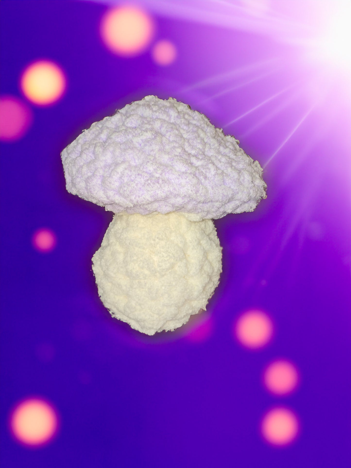 CROCHET MUSHROOM STUFFIE- CUSTOM ORDER