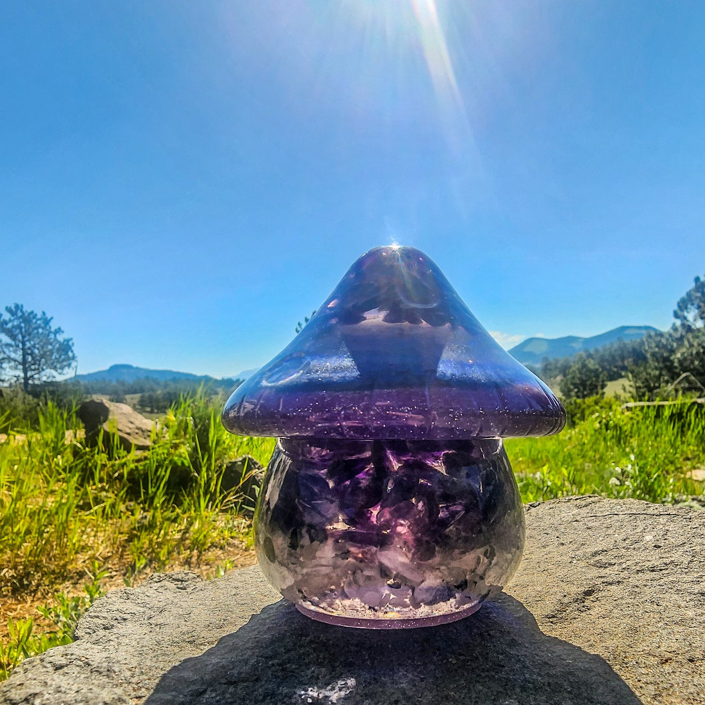 Resin Mushroom Container- Customs