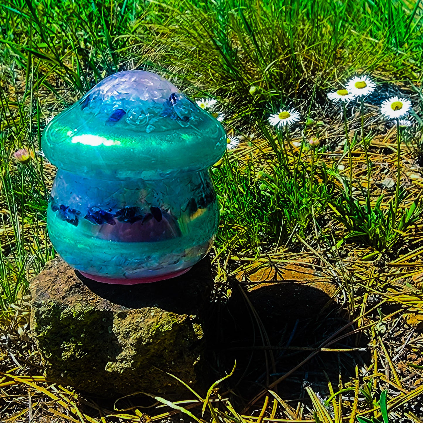 Resin Mushroom Container- Customs