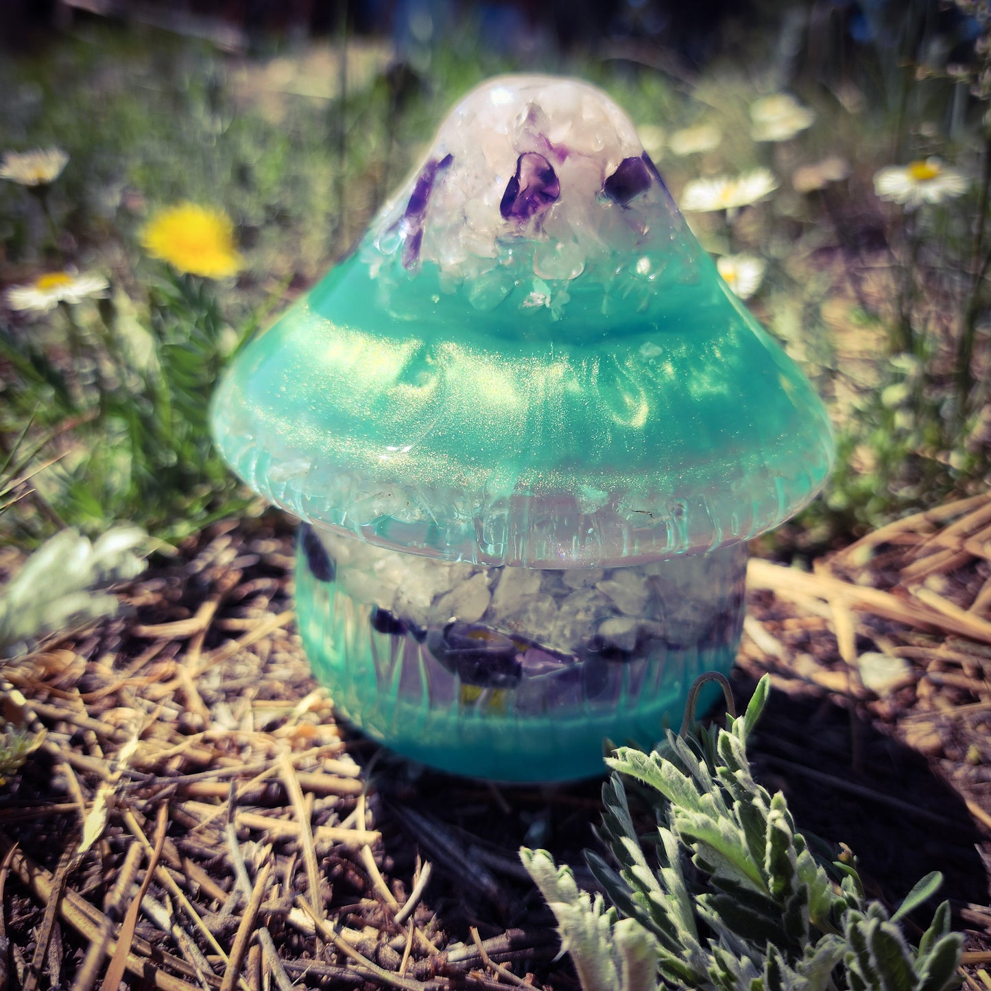 Resin Mushroom Container- Customs
